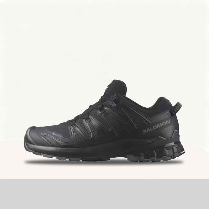 Salomon XA Pro 3D V9 GTX: Styl - đánh giá và giá Salomon Shoes Xa Pro 3D